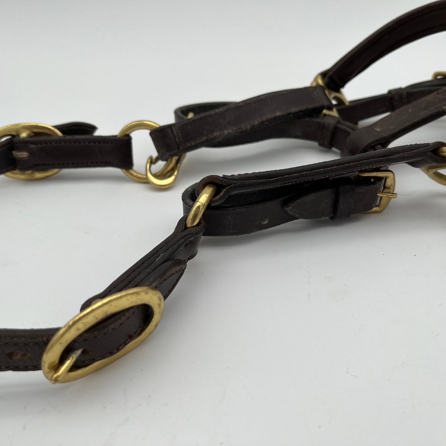 Brown Leather Headcollar with Brass Buckles