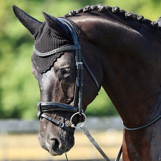 Saddlery & Tack
