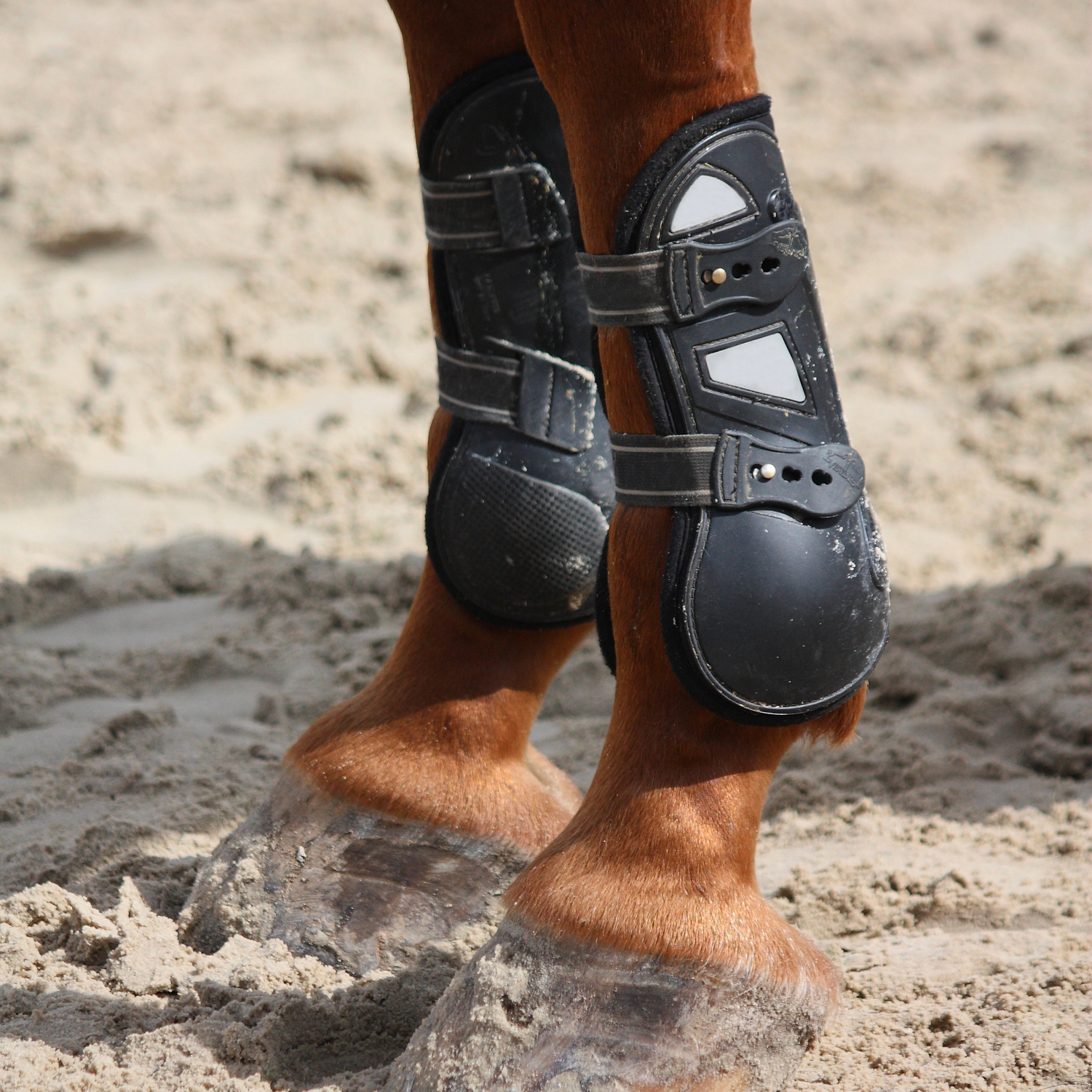 Boots & Bandages