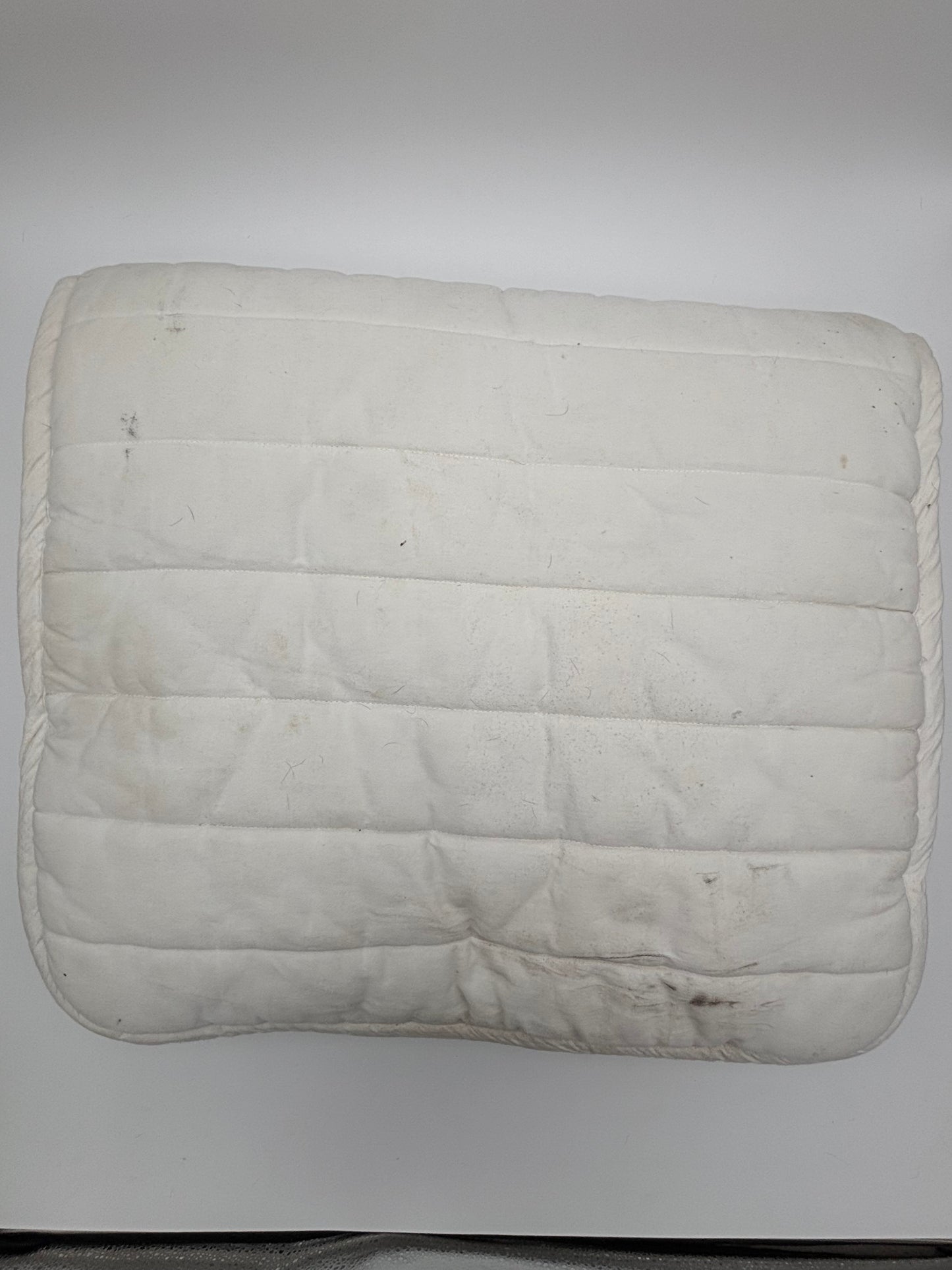 Mattes White Thick Dressage Numnah