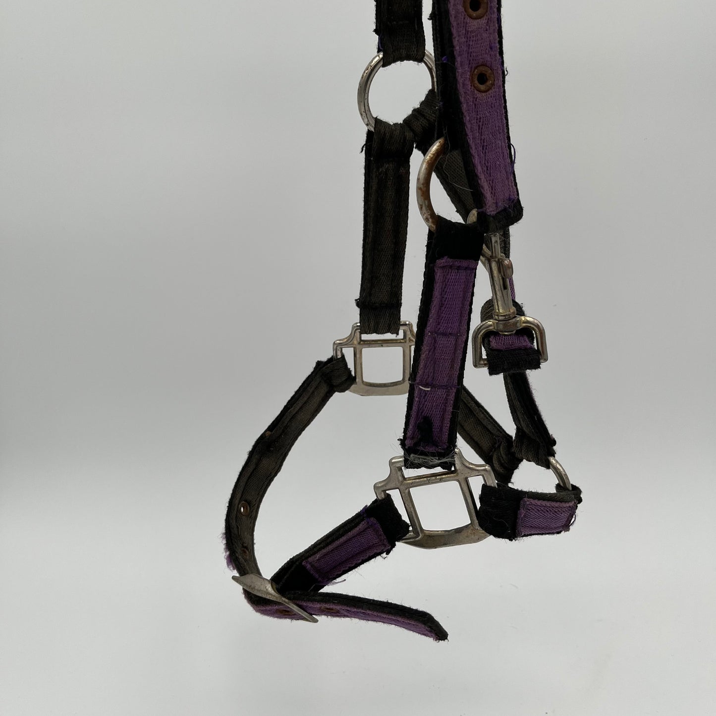 Purple Material Headcollar