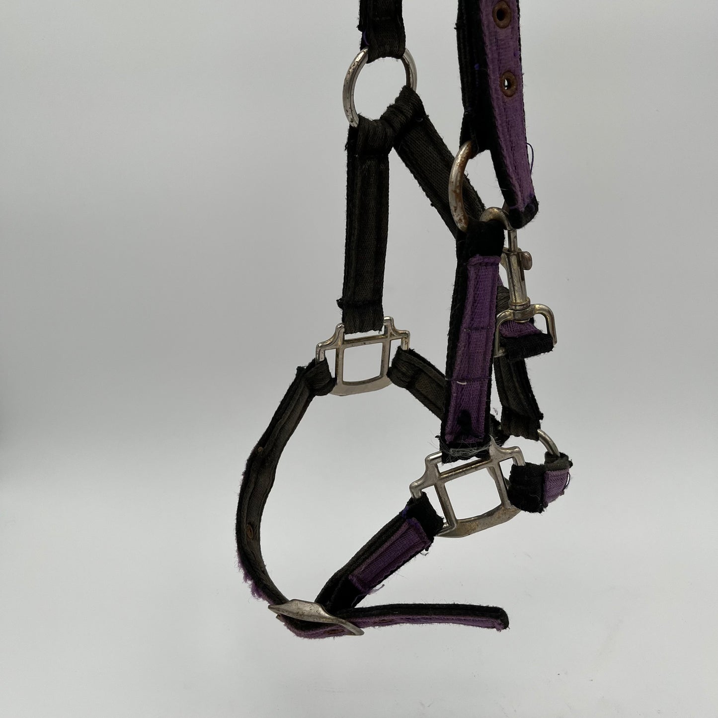 Purple Material Headcollar