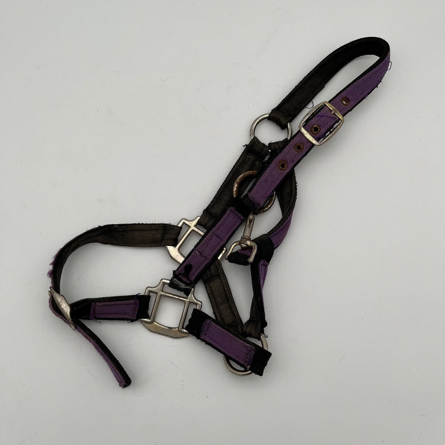 Purple Material Headcollar