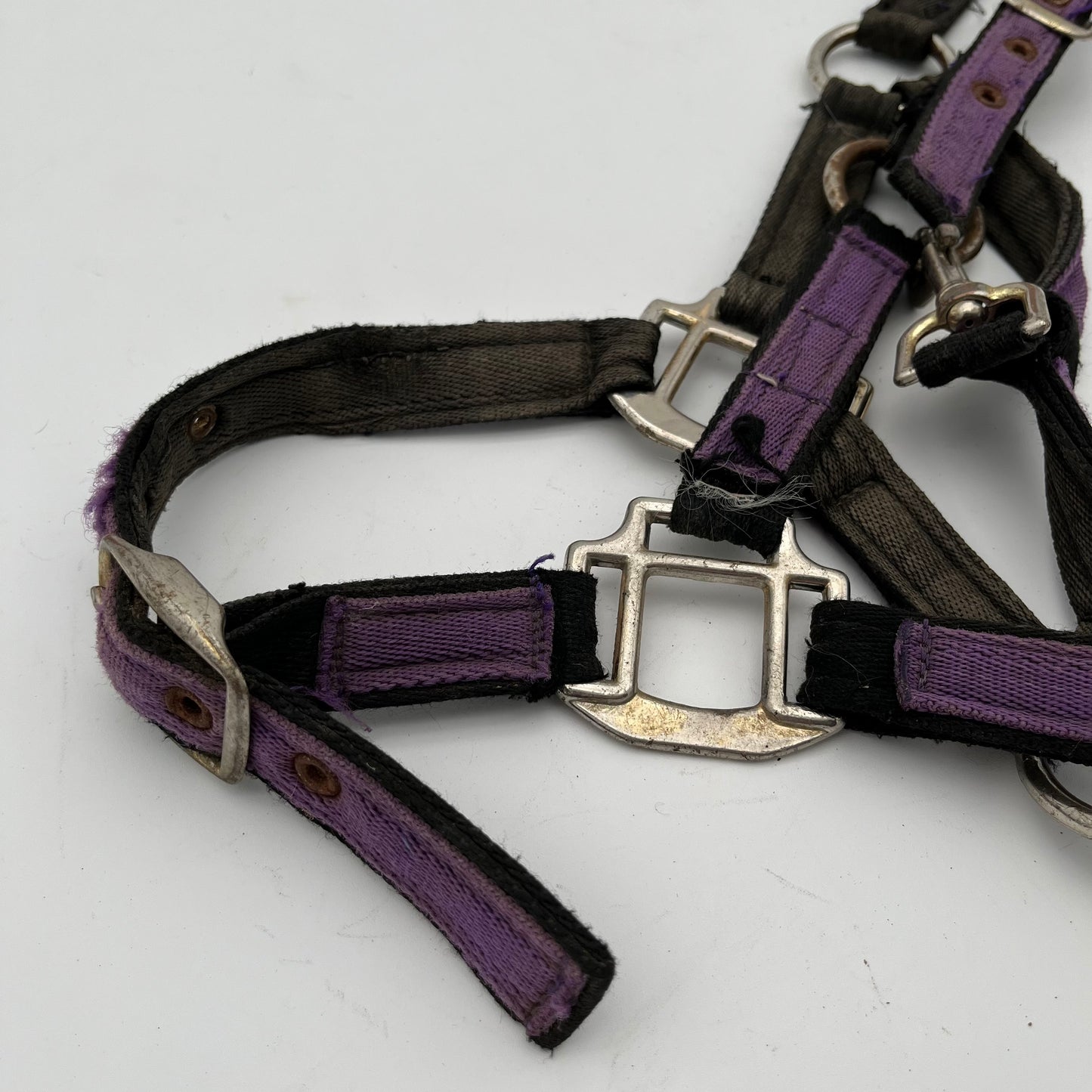 Purple Material Headcollar
