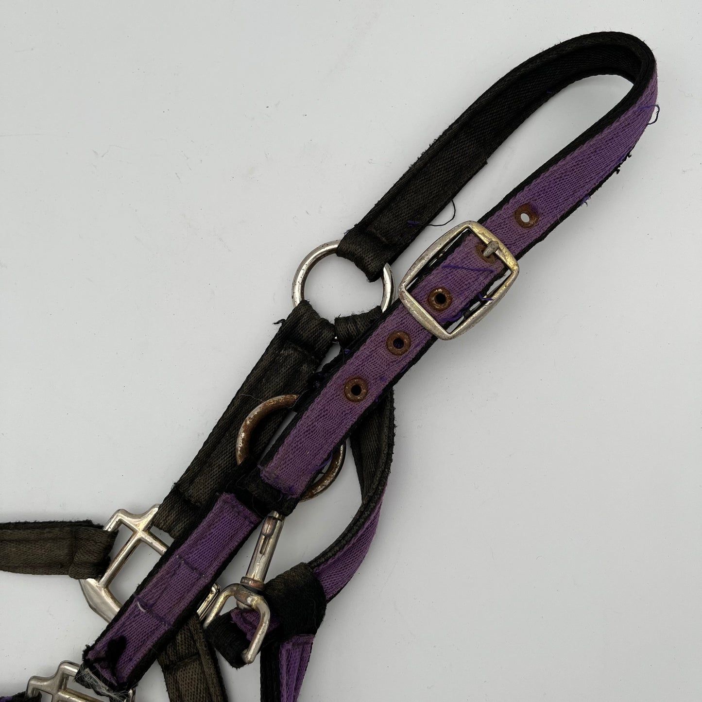 Purple Material Headcollar