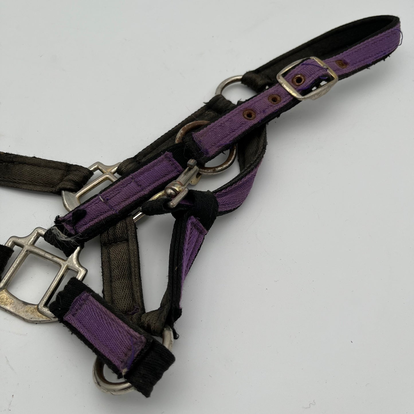 Purple Material Headcollar