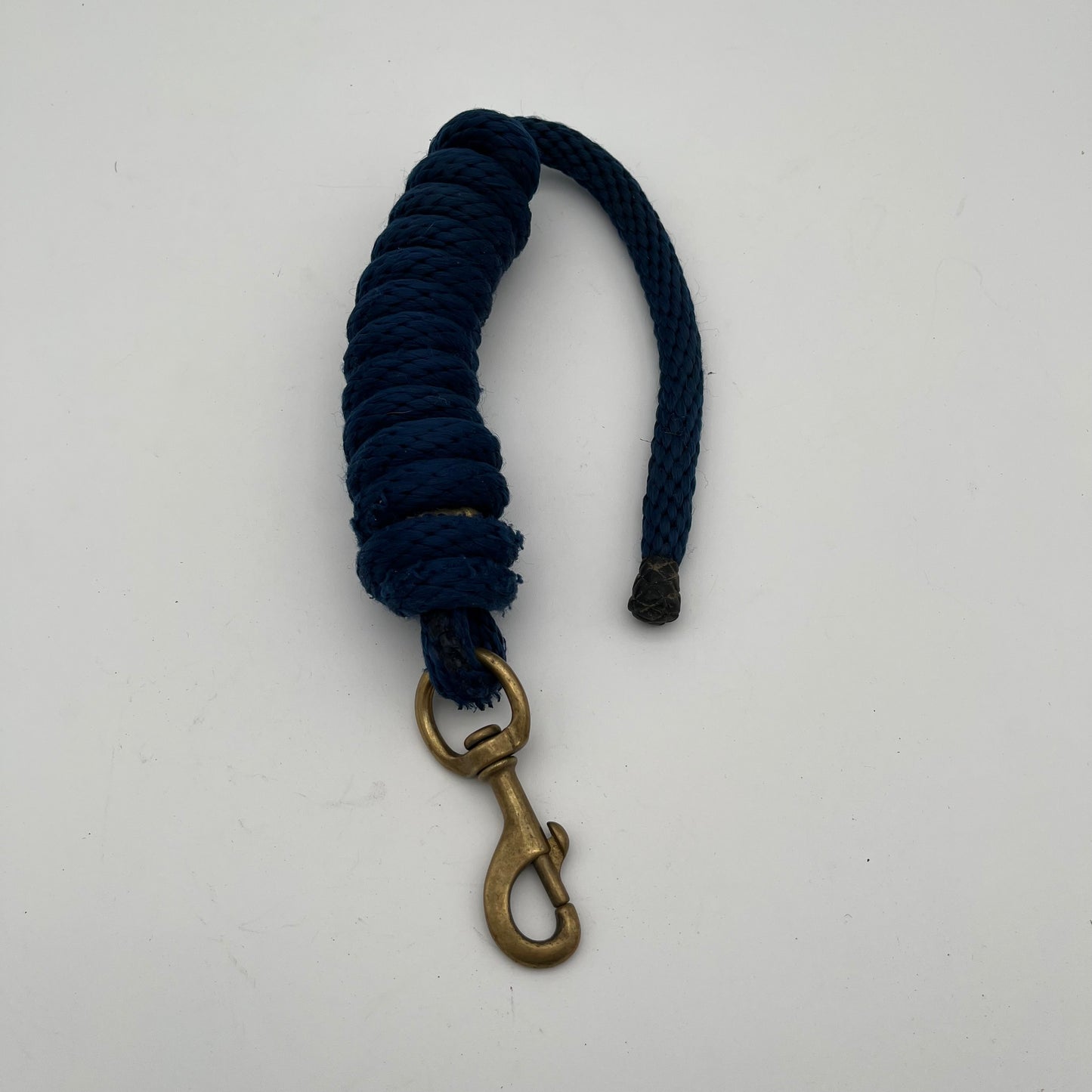 Blue Lead Rope