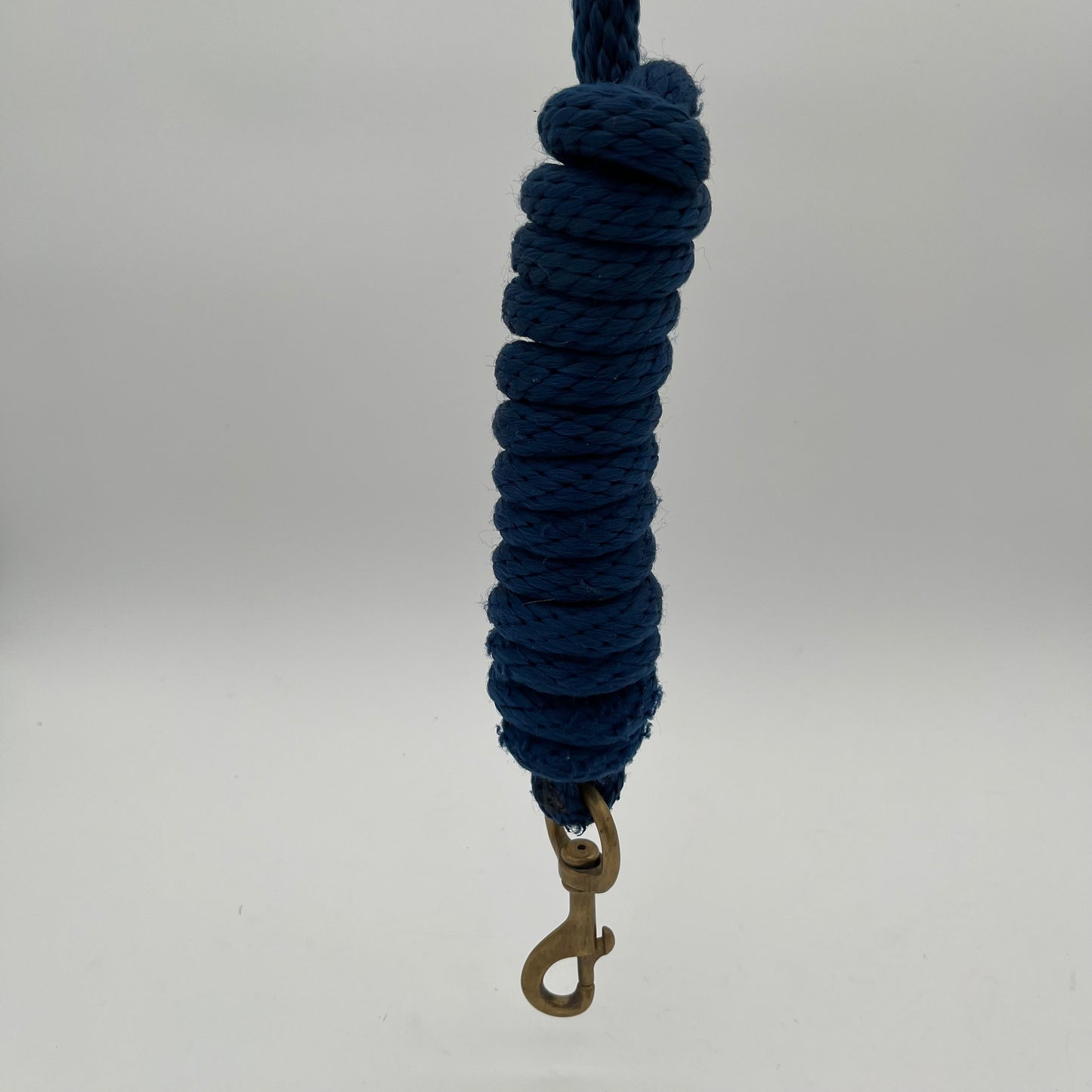 Blue Lead Rope